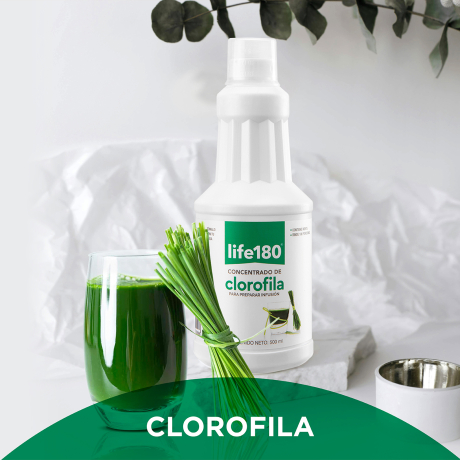 Clorofila
