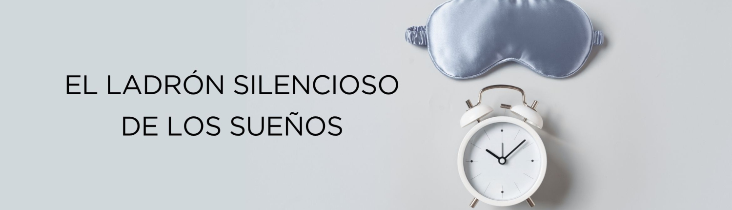 El Ladrón Silencioso de los Sueños