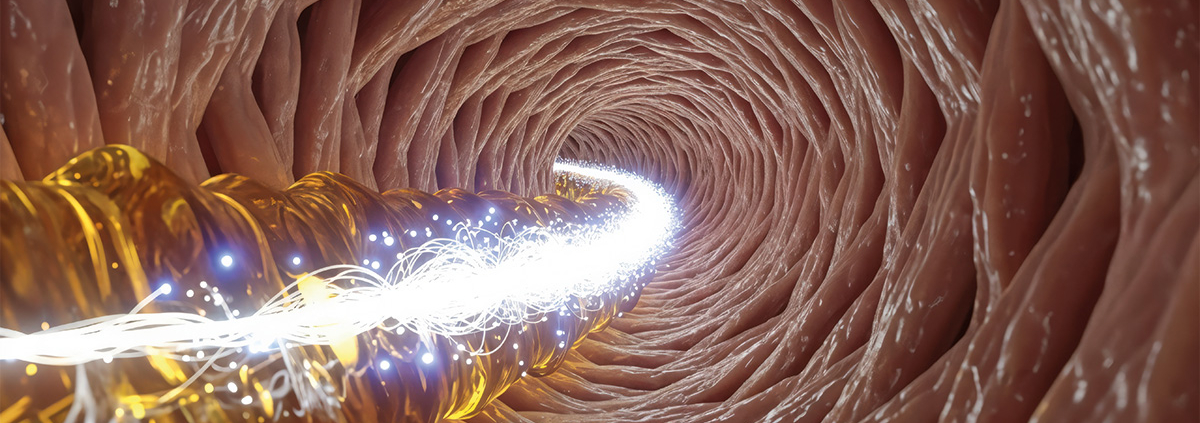 Equilibrio intestinal