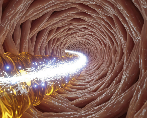 Equilibrio intestinal