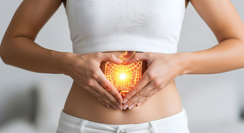 Comparativa de suplementos